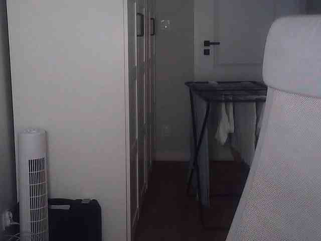 AriaModel webcam