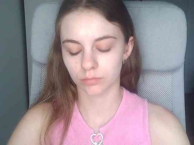 AriaModel webcam