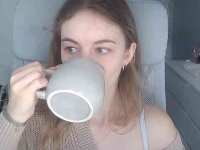 AriaModel webcam