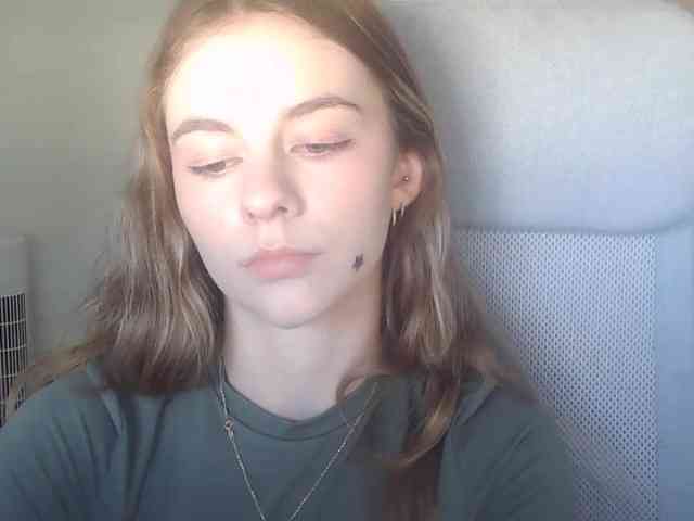 AriaModel webcam