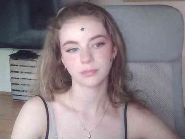 AriaModel webcam