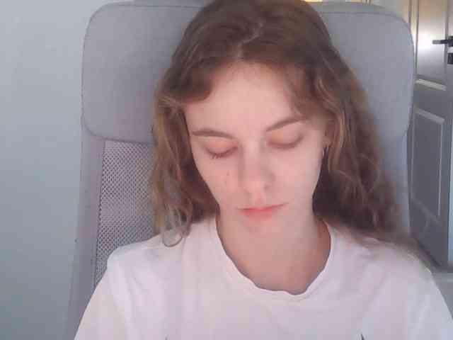 AriaModel webcam