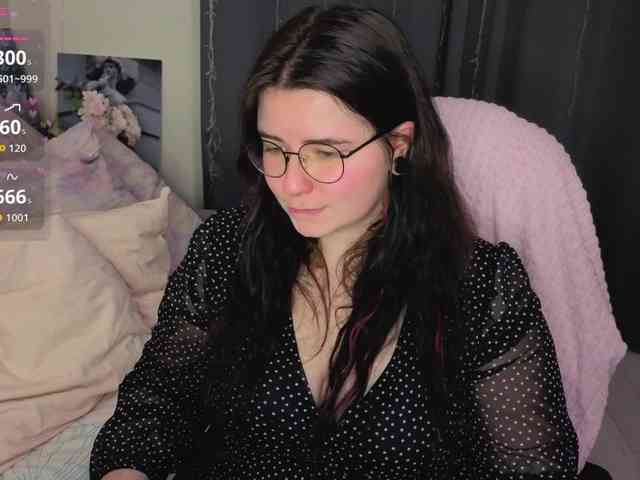 Kitty-Katty webcam