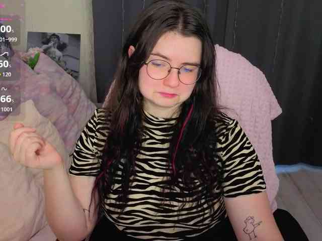 Kitty-Katty webcam