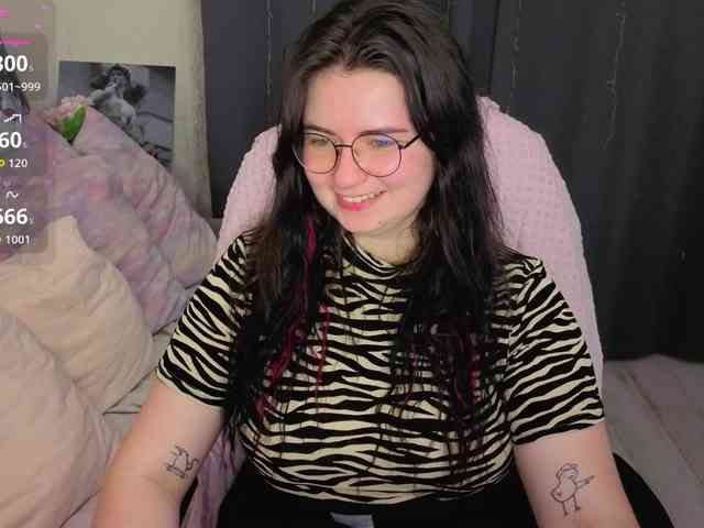 Kitty-Katty webcam