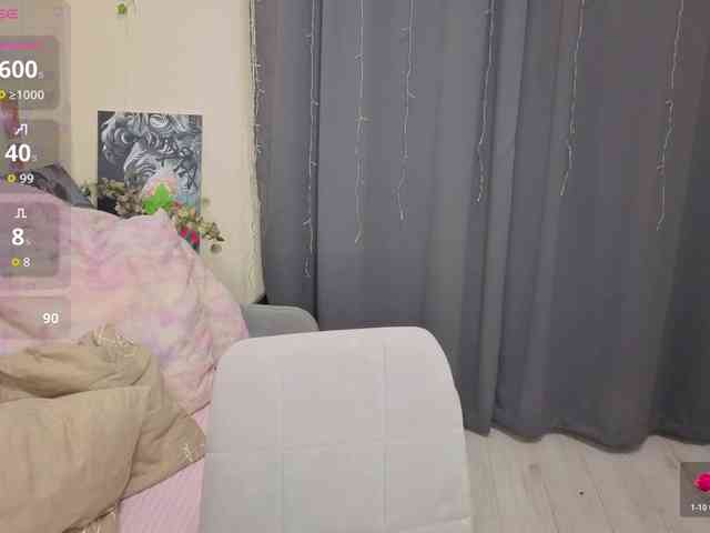 Kitty-Katty webcam