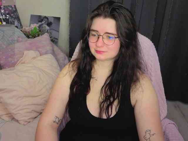 Kitty-Katty webcam