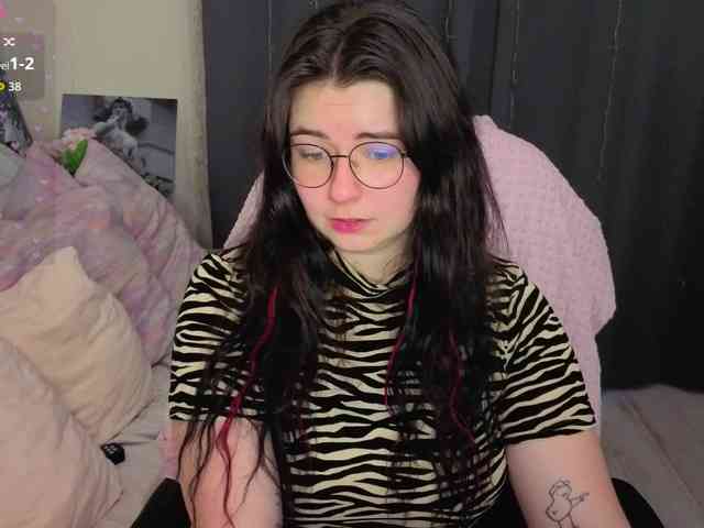 Kitty-Katty webcam