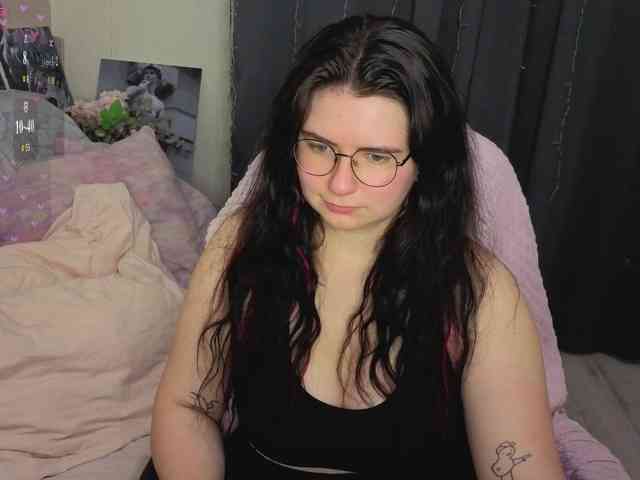 Kitty-Katty webcam