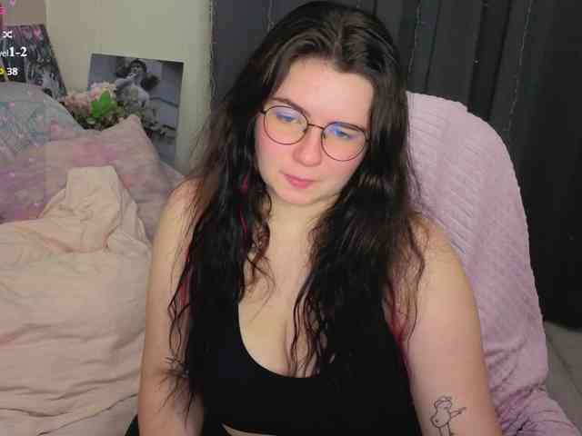 Kitty-Katty webcam