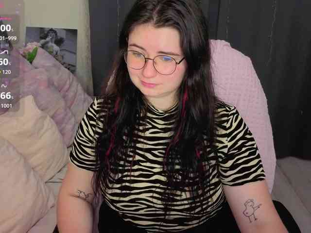 Kitty-Katty webcam