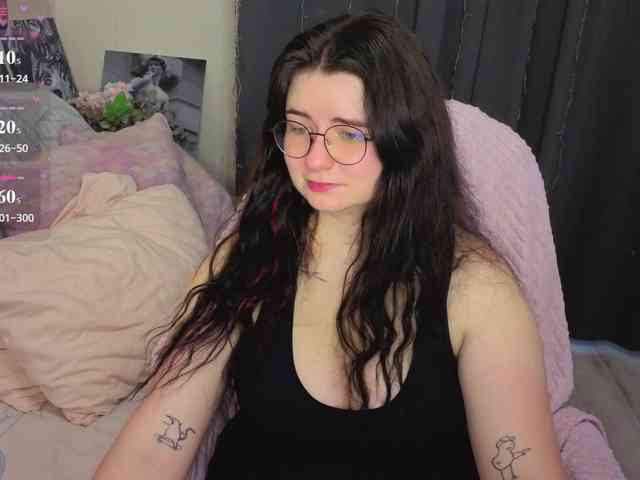 Kitty-Katty webcam