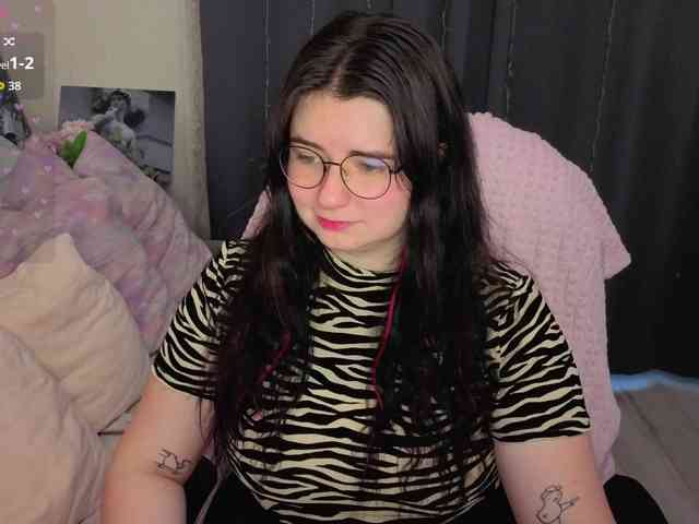 Kitty-Katty webcam