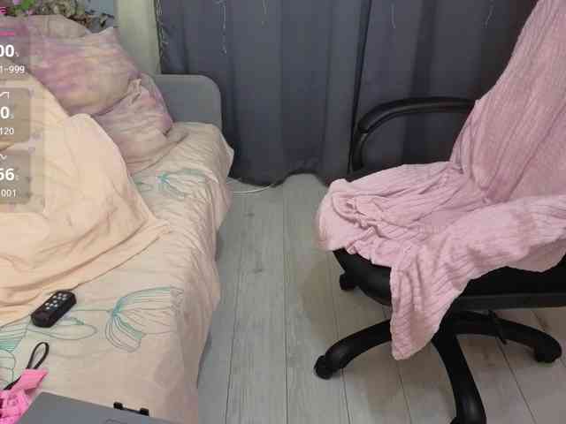 Kitty-Katty webcam