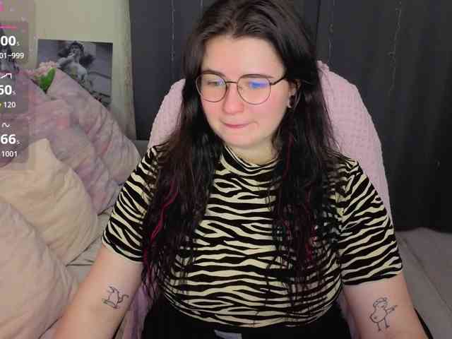 Kitty-Katty webcam