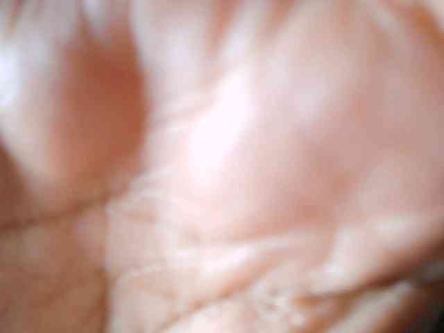 SydneiDollux webcam