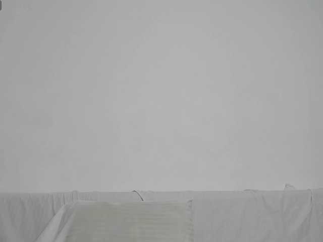 floomaliana's BongaCams show and profile