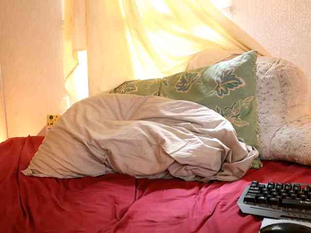 XxpixeyxX webcam