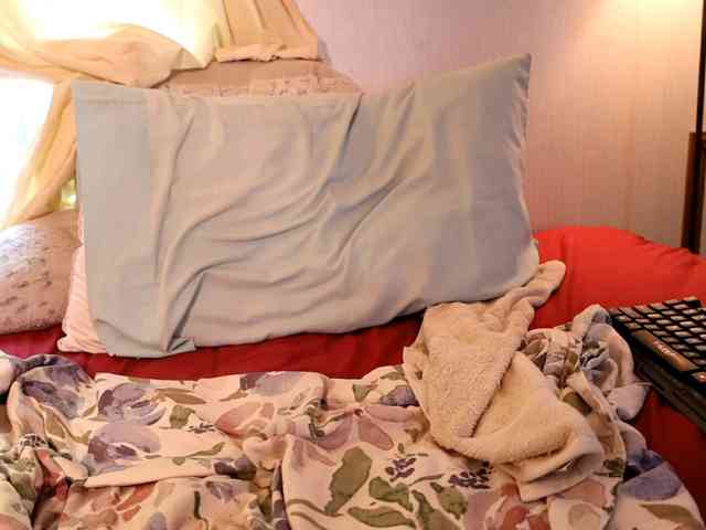 XxpixeyxX webcam