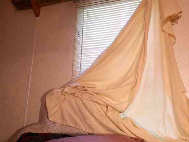 XxpixeyxX webcam