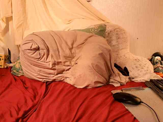 XxpixeyxX webcam