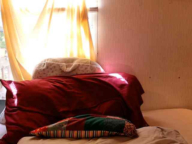 XxpixeyxX webcam