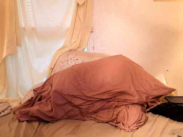 XxpixeyxX webcam