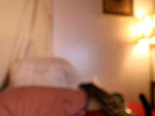 XxpixeyxX webcam