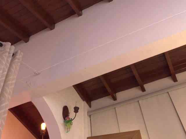 Modelo: yandracelis