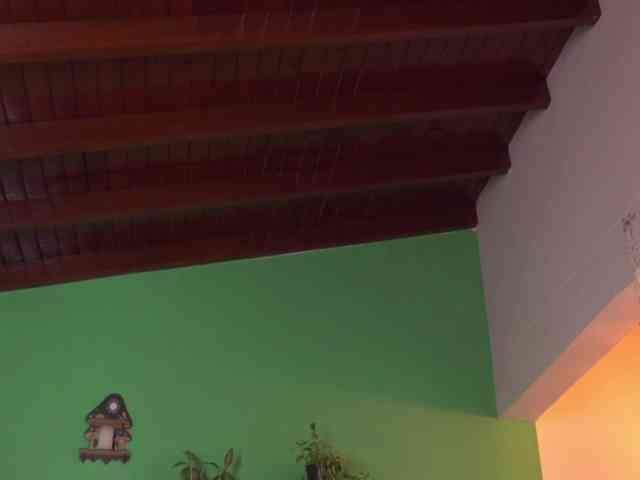 Modelo: yandracelis