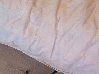 -Sara- Porn Show