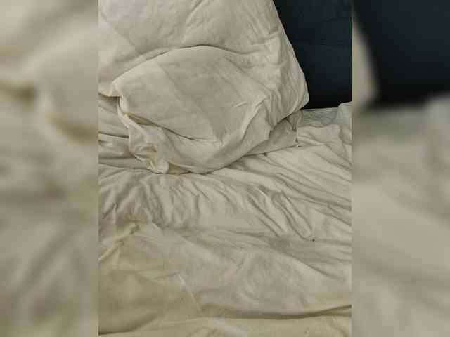 Nansi_ webcam