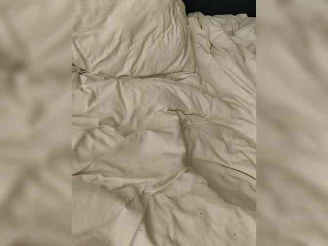 Nansi_ webcam