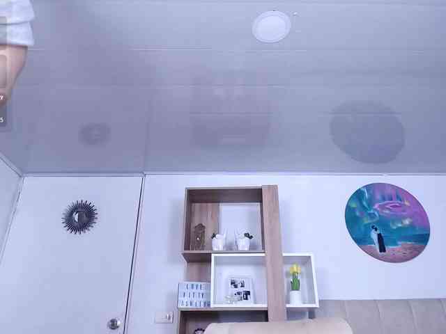 iM-Kitty webcam