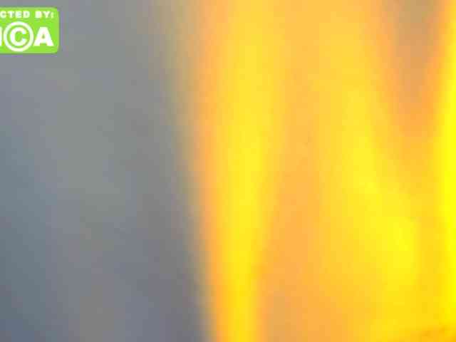 Naughty-Sharon69 webcam