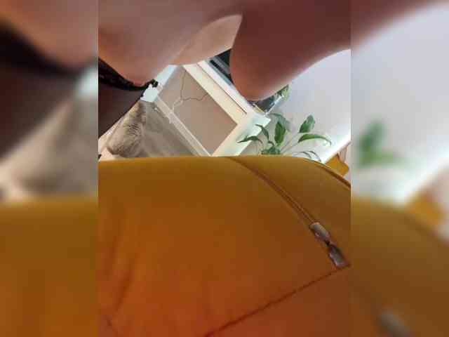 CatalinaVIP webcam