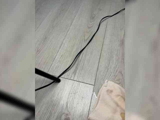 Модель: CatalinaVIP