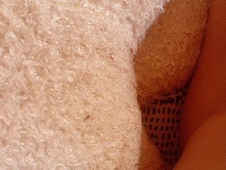 Diannarr