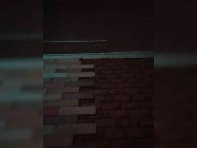 Diannarr webcam