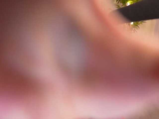 MagneticAmi live cam on BongaCams