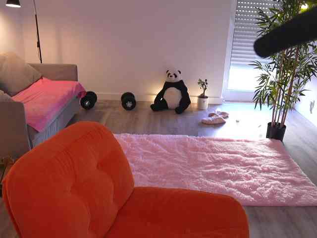 MagneticAmi webcam