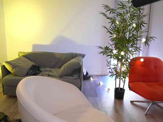 MagneticAmi webcam