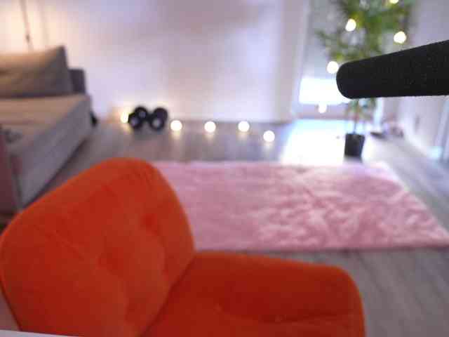 MagneticAmi webcam