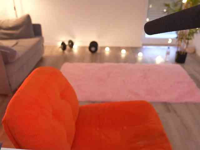 MagneticAmi webcam