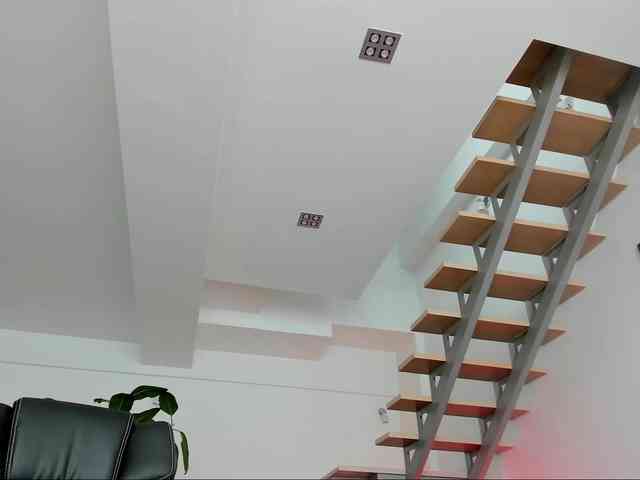 Laranya webcam
