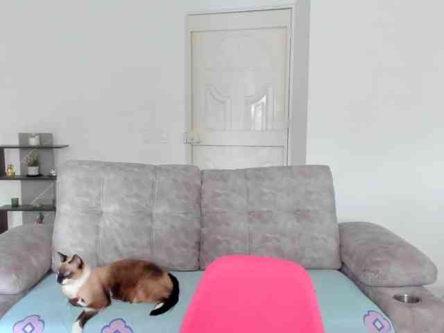 Amatiistur webcam