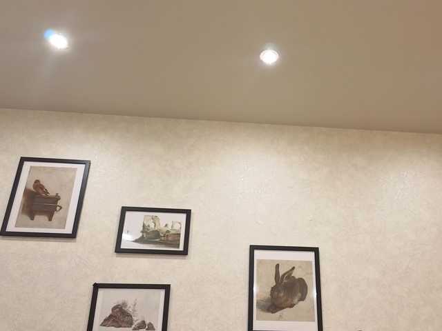 dolly-ll live cam on BongaCams