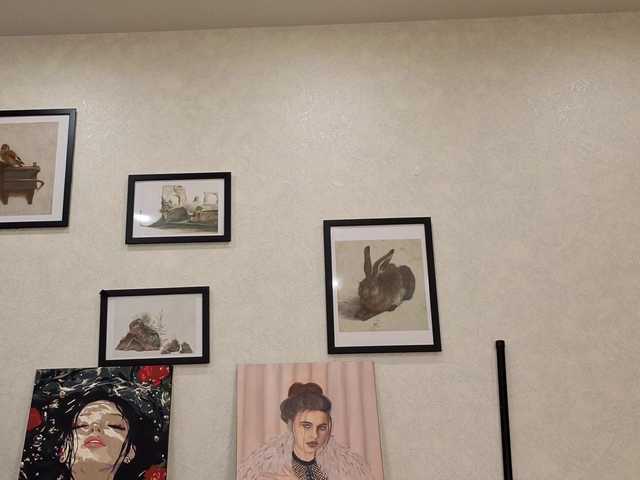 dolly-ll live cam on BongaCams