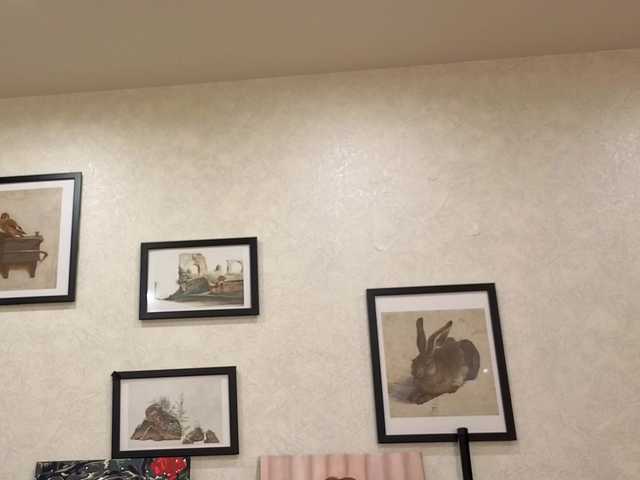 dolly-ll live cam on BongaCams