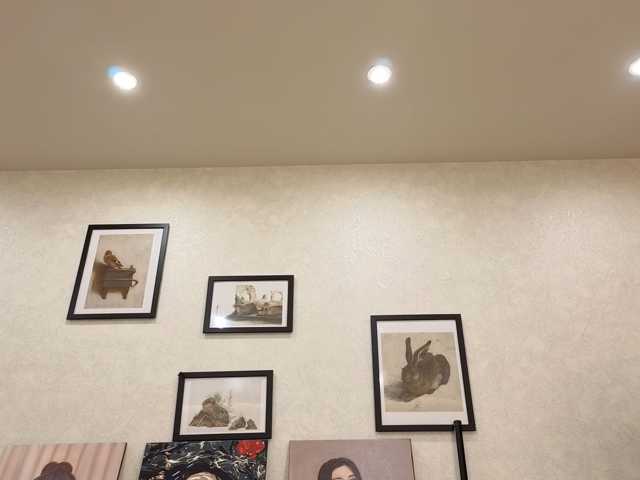 dolly-ll live cam on BongaCams